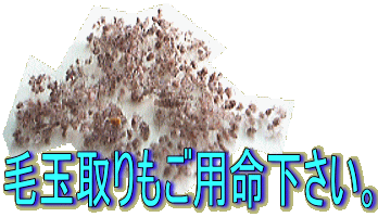 ыʎpB 